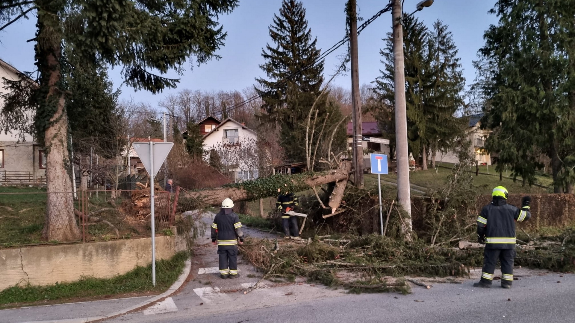 Trenutno pregledavate Uklanjanje srušenog stabla