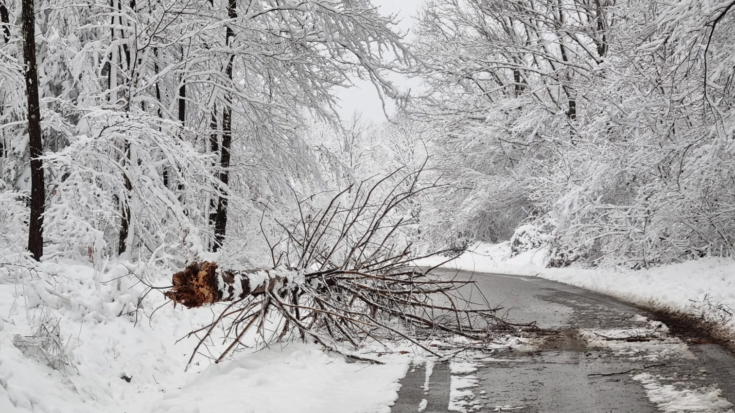 Trenutno pregledavate Tehnička intervencija